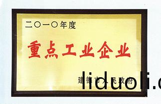 Key industrial enterprises in 2010